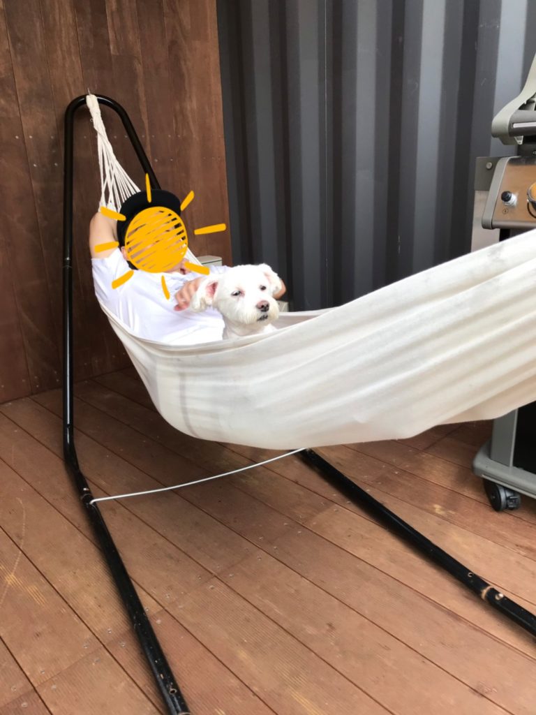 ハンモックで犬と一緒にくつろいでます。