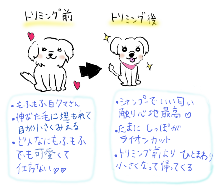 可愛い犬のイラストが好き