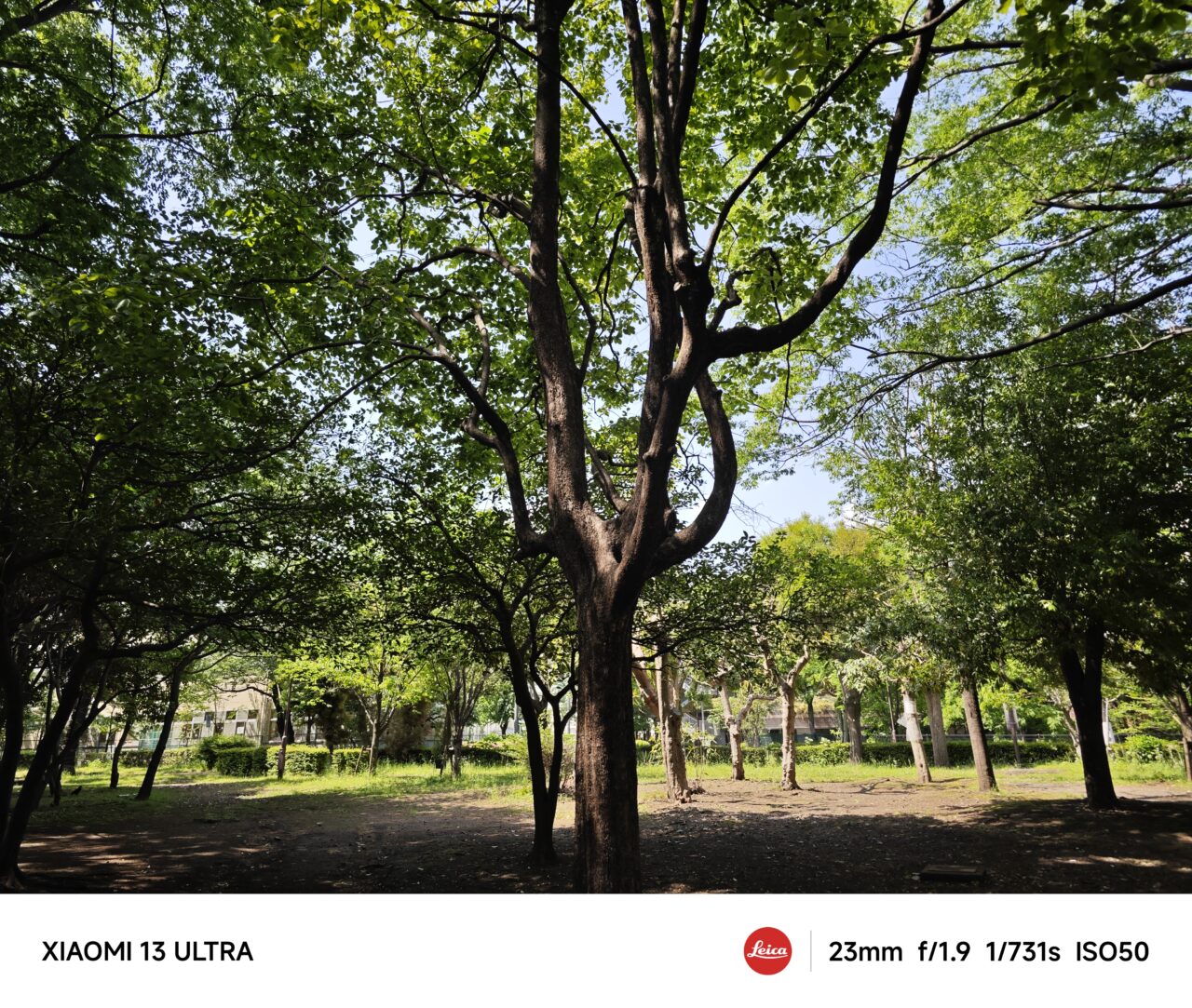 Xiaomi 13 Ultraで撮影した写真。「Leica Authentic Look」（ライカオーセンティックルック）モード。その3。