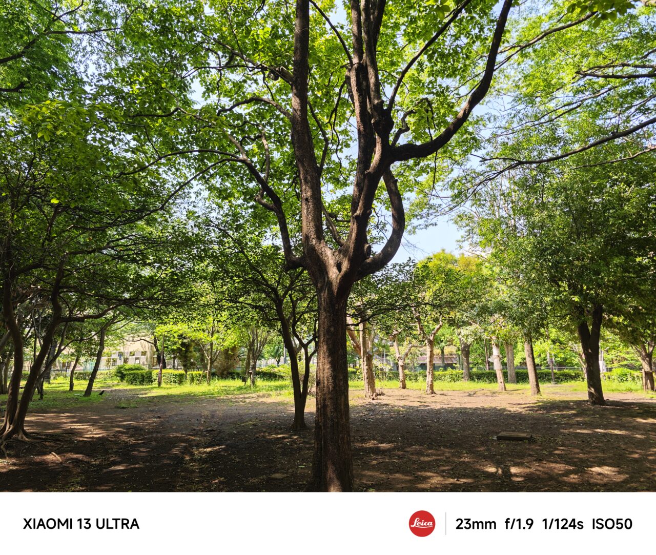 Xiaomi 13 Ultraで撮影した写真。「Leica Vibrant Look」（ライカバイブラントルック）モード。その3。